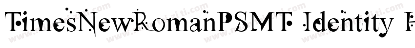 TimesNewRomanPSMT Identity H 字体转换